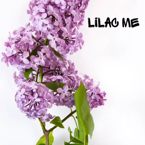 Lilac Blossom Soy Wax Candle