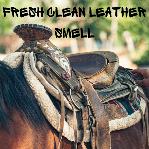 Saddle Up (AKA Genuine Leather) Soy Wax Melt
