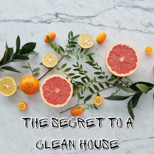 Fresh citrus fruits including grapefruit, lemon, and oranges on a marble surface with green leaves. Text overlay reads 'The Secret to a Clean House.'