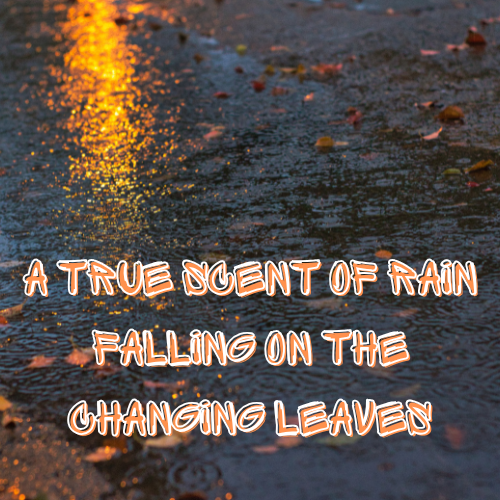 When The Leaves Turn Orange (AKA Autumn Leaves) Soy Wax Melt