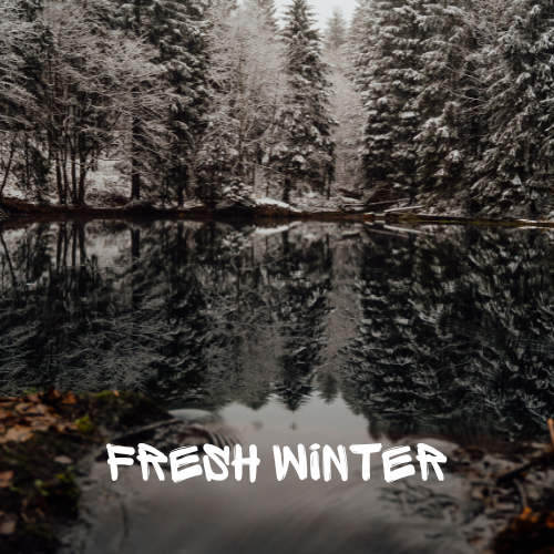 Winter Forest Soy Wax Melt